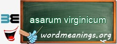 WordMeaning blackboard for asarum virginicum